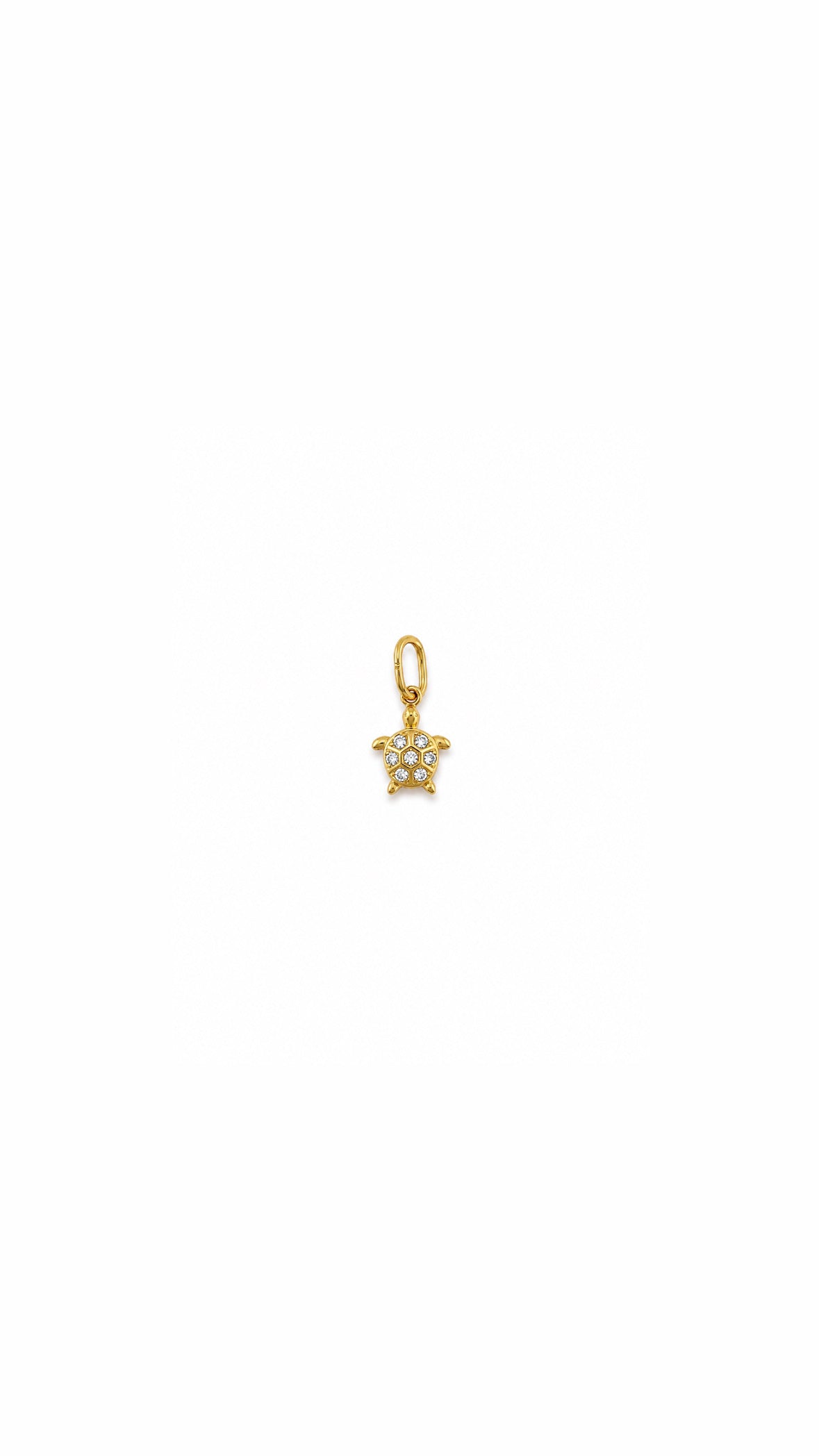 Charm Tortuga