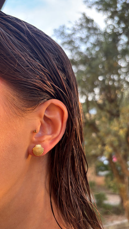 Colección verano: Pendientes Concha